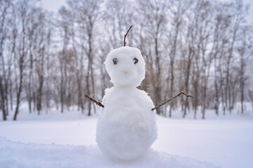 Handmade of snowman in hokkaido japan , Winter snow season for travel.