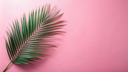 Fototapeta premium Vibrant Green Palm Frond on a Soft Pink Background, Perfect for Summer Designs and Tropical Themed Projects