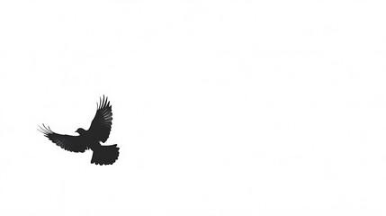 Fototapeta premium Dark bird soars against white background.