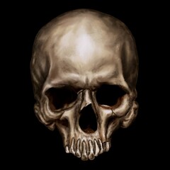 Human skull on black background.