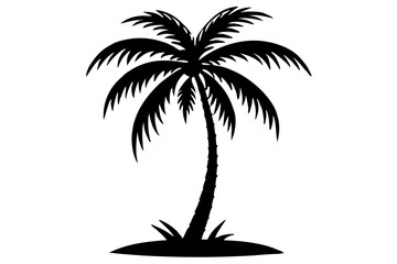 silhouette of palm trees