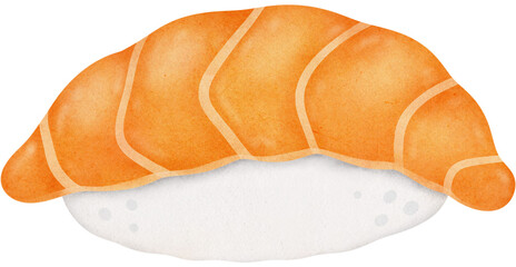 Salmon sushi illustration 