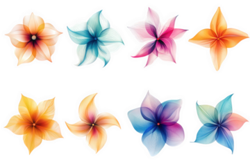 Eight Colorful Floral Designs On Black Background, on transparent background