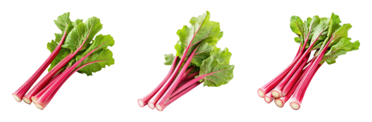 Fresh rhubarb stalks with vibrant green leaves