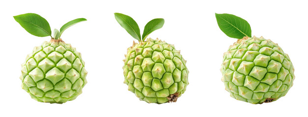Fresh green cherimoya fruits with leaves on black background