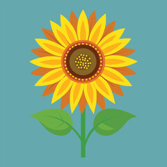Sunflower vector art illusrtation