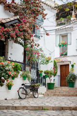 White houses and colorful flower pots in the street of Estepona. South of Spain, Andalusia. Typical spanish street.