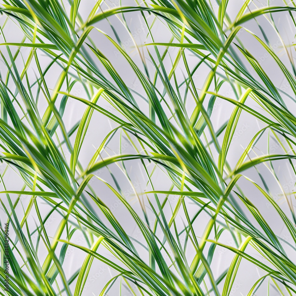 Poster seamless grass pattern featuring dynamic green blades for fresh and lively design applications