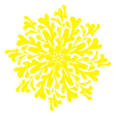 Coloured symmetrical floral motif