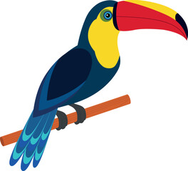 Toucan bird isolated on transparent background.