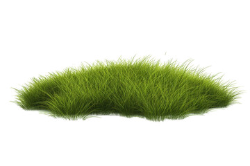 A tuft of grass isolated on white as a png to be used for graphic design purposes