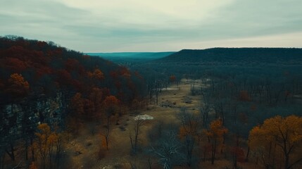 Fototapeta premium Autumnal forest landscape with hills and valley.