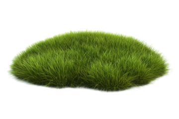 A tuft of grass isolated on white as a png to be used for graphic design purposes