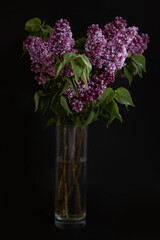 A bouquet of lilacs lies on a black background, close-up.