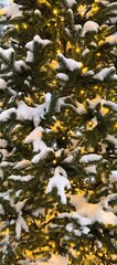 Christmas tree close up photo, artificial fir tree in snow decorated with garland outdoors in the park