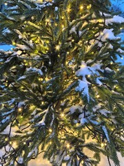 Christmas tree close up photo, fir tree in snow decorated with garland outdoors in the park