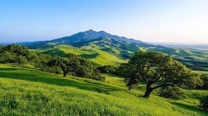 Obraz premium Serene mountain landscape with rolling green hills, lush grass, and majestic peak under a clear blue sky.