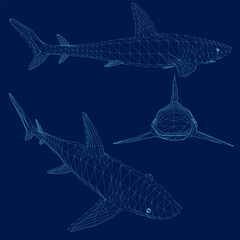 shark wireframe set. Vector illustration