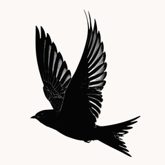 Obraz premium dove of peace