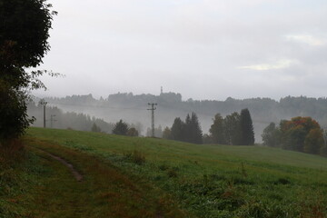 high voltage mast in the wild