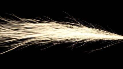 Obraz premium Light streaks on black. (1)