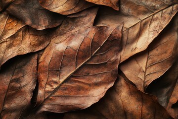 Dried Leaves Brown Autumn Nature Texture Background