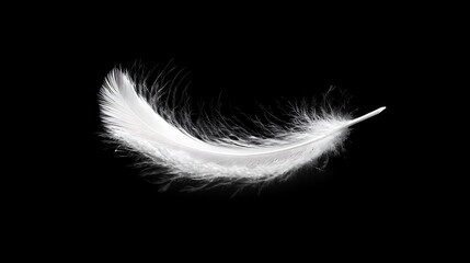 Isolated white feather.