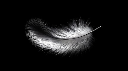 Obraz premium Single white feather on black background.