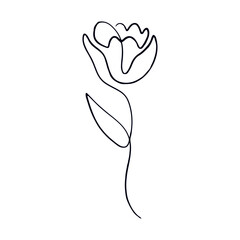Minimalist Line Art Flower Illustration