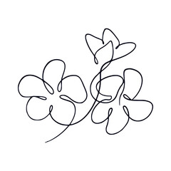 Minimalist Line Art Flower Illustration