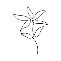 Minimalist Line Art Flower Illustration