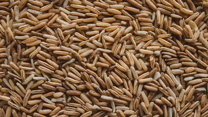 Fototapeta premium A photo of rice grains in a white background. The rice is brown and organic.