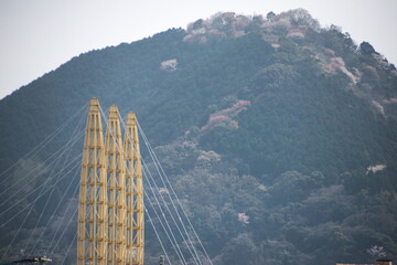別府市　別府公園