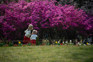 別府市　別府公園