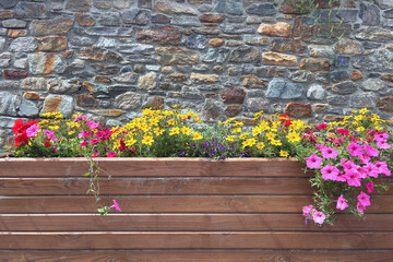 vaso con fiori colorati