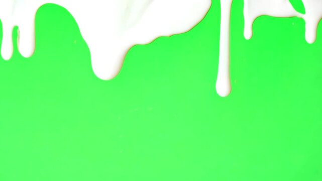 White paint dripping down on empty green screen background. White liquid flow down the chroma key background. Isolated white paint spilled 4k video