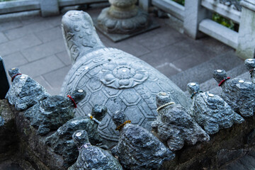 high-angle view of the turtle sculptures in the Buddhist temple