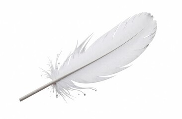 a white feather on a white background