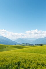 grassy field with mountains in the distance
