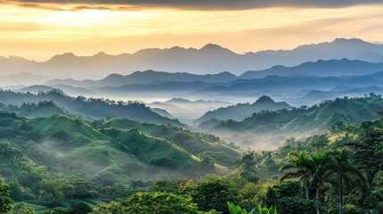 Serene Mountain Landscape at Sunrise with Mist and Lush Vegetation