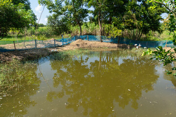 A pond with a net stretched out to raise ducks