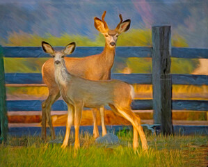 Mule Deer Siblings