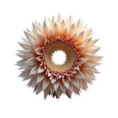 Sunflowerlike pink and white flower with black center