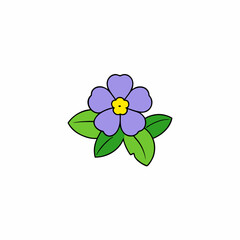 flower isolated