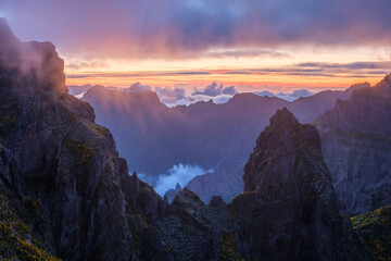 Mountains on sunset covered in fog and clouds with blooming Cytisus shrubs. Near Pico de Arieiro , Madeira island, Portugal