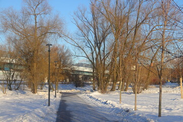 Obraz premium eco-trail in the city park in the winter, ecology, urbanism, 2