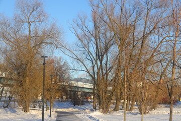 Fototapeta premium eco-trail in the city park in the winter, ecology, urbanism, 2