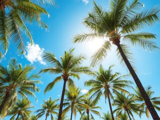 Sun-drenched coconut palms sway gently against a vibrant blue sky, escape, Pacific