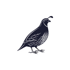 quail vector art and illutration 