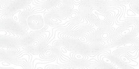 Abstract topographic map background. Topographic map lines contour background. 

